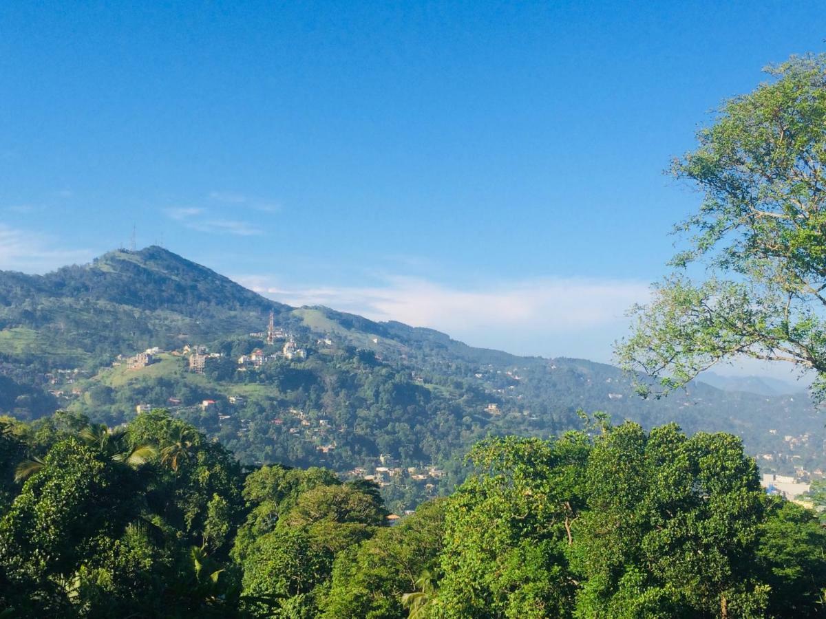 Selyna Sky Terrace Bed & Breakfast Kandy Eksteriør bilde