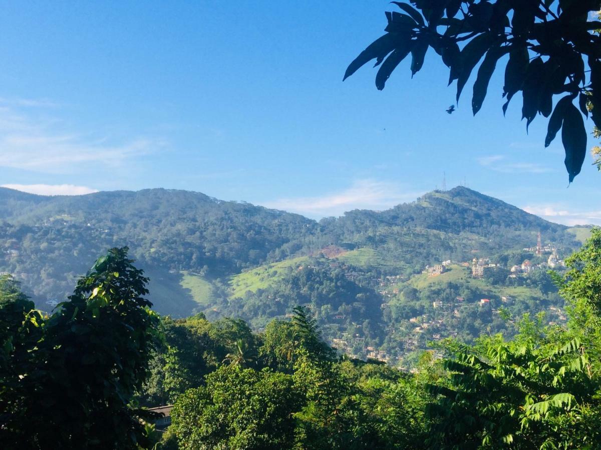 Selyna Sky Terrace Bed & Breakfast Kandy Eksteriør bilde