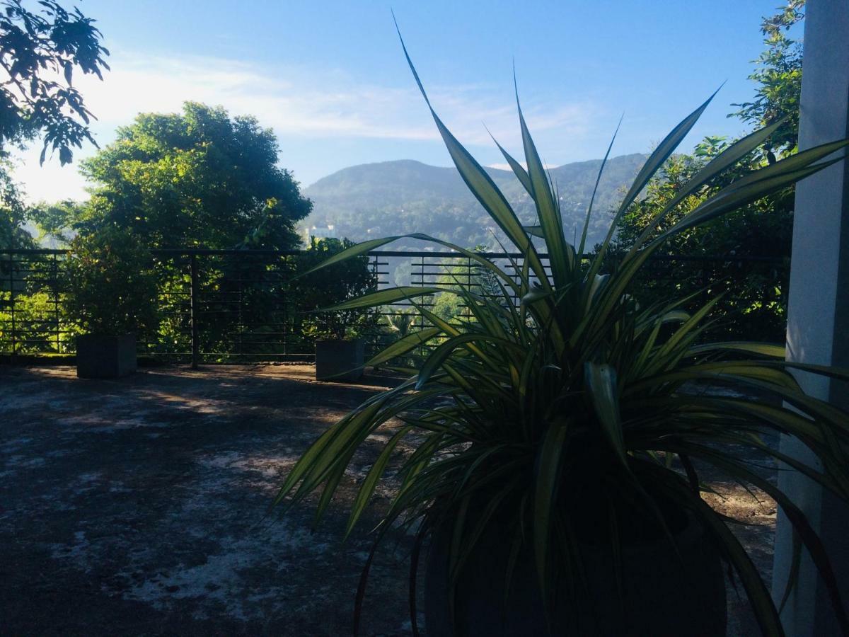 Selyna Sky Terrace Bed & Breakfast Kandy Eksteriør bilde